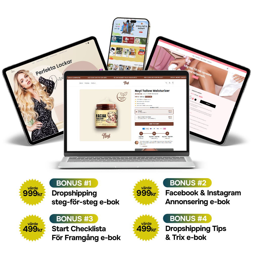 Startklar Dropshippingbutik